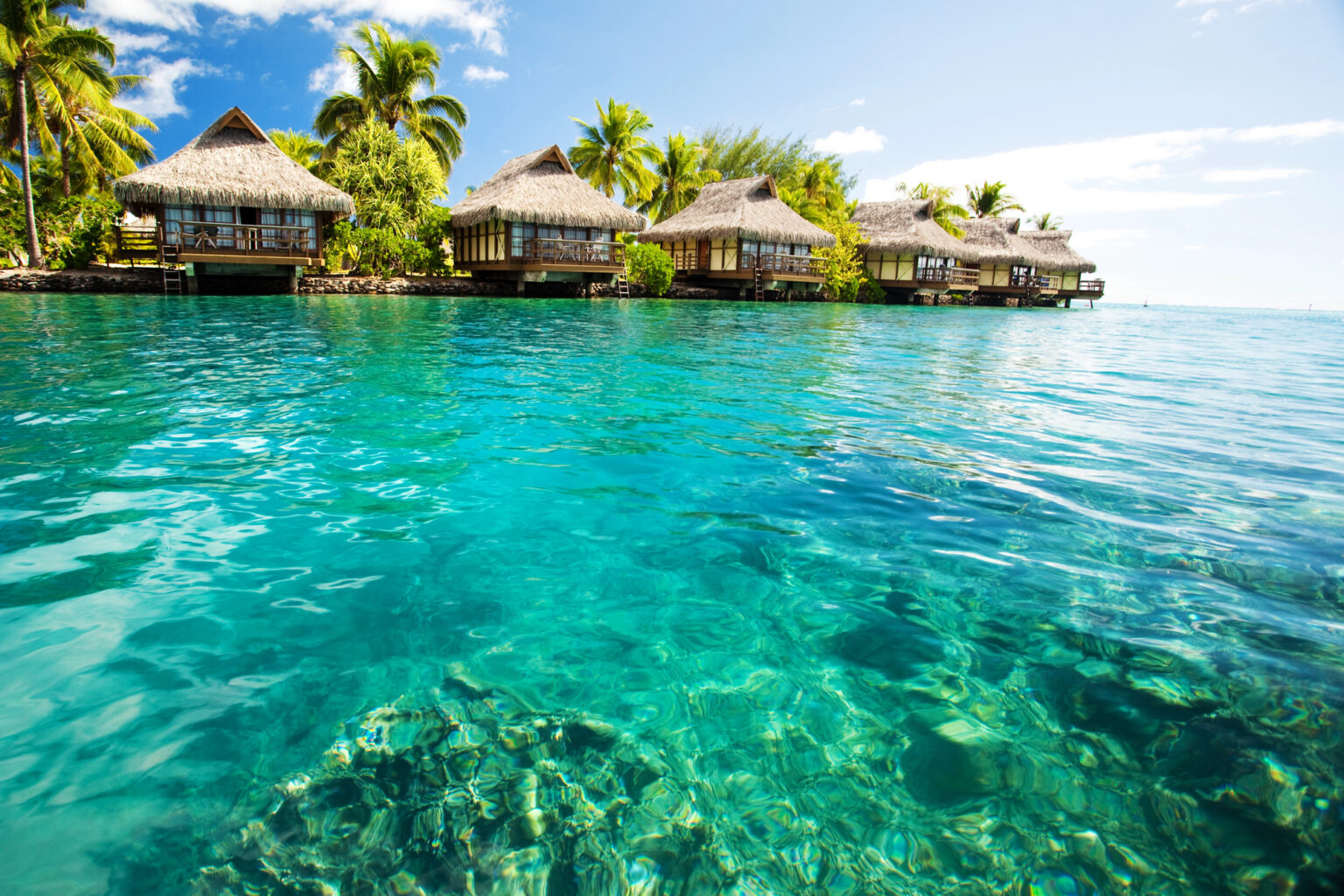 Tropical bungalows over turquoise water with palm trees on a sunny day